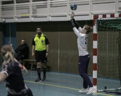 Féminin